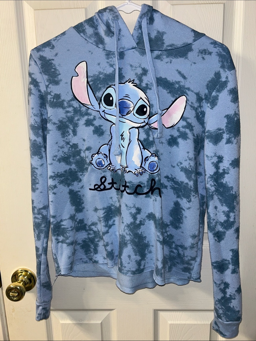 Disney Pale Blue Hooded Pullover Fleece